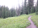 07 gallatin creek trail.JPG